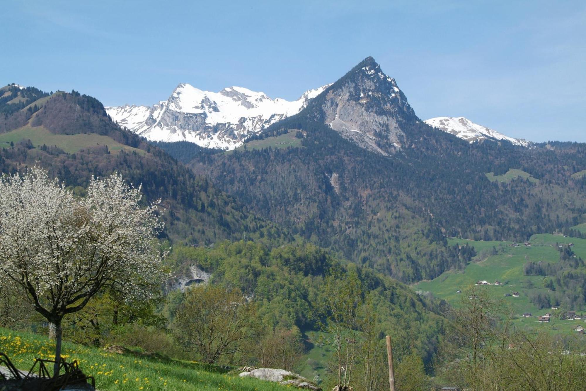 Herberg Landgasthof Grossteil