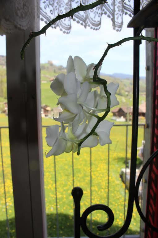 Landgasthof Grossteil Herberg *